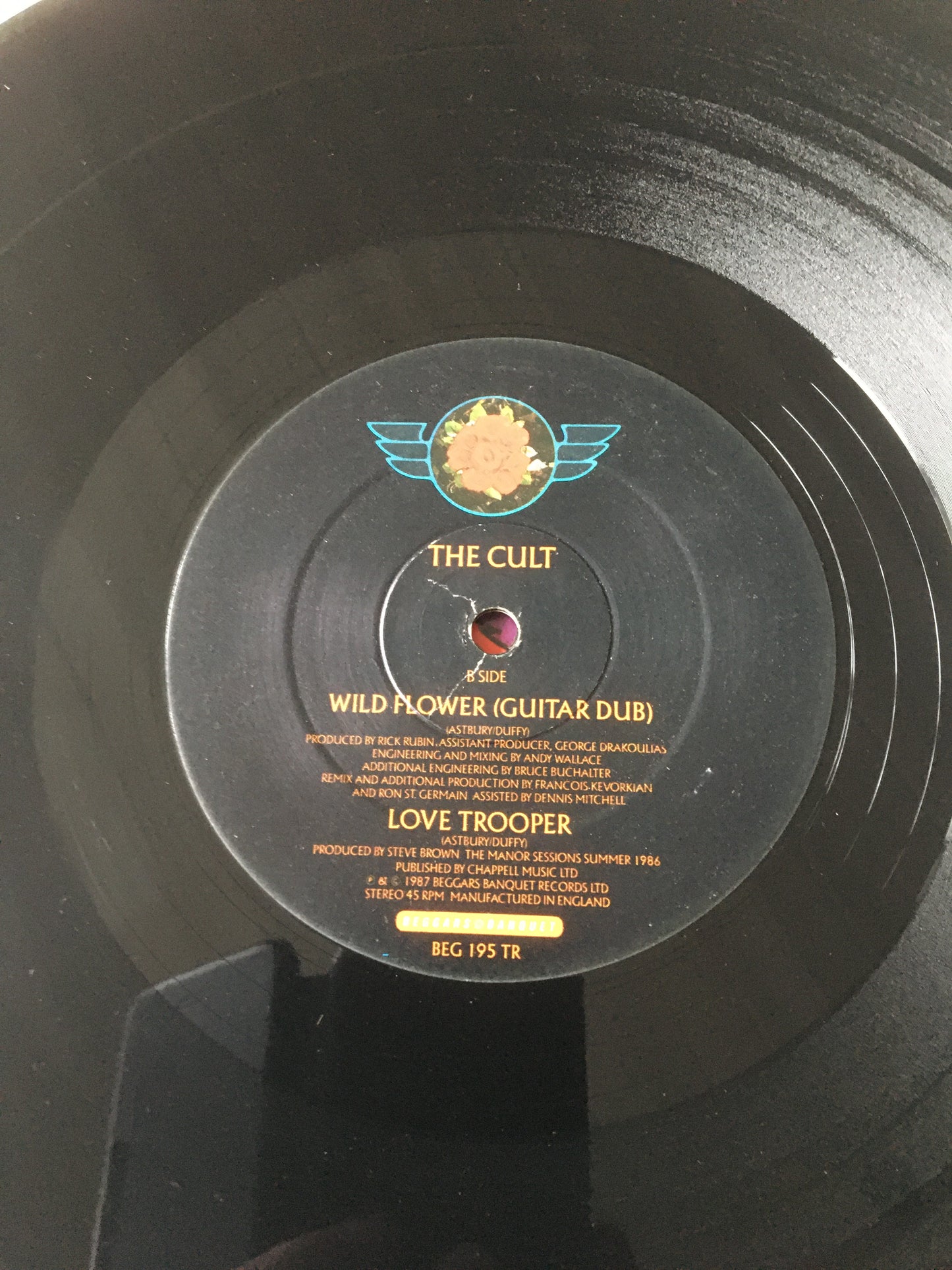 THE CULT 12” WILD FLOWER