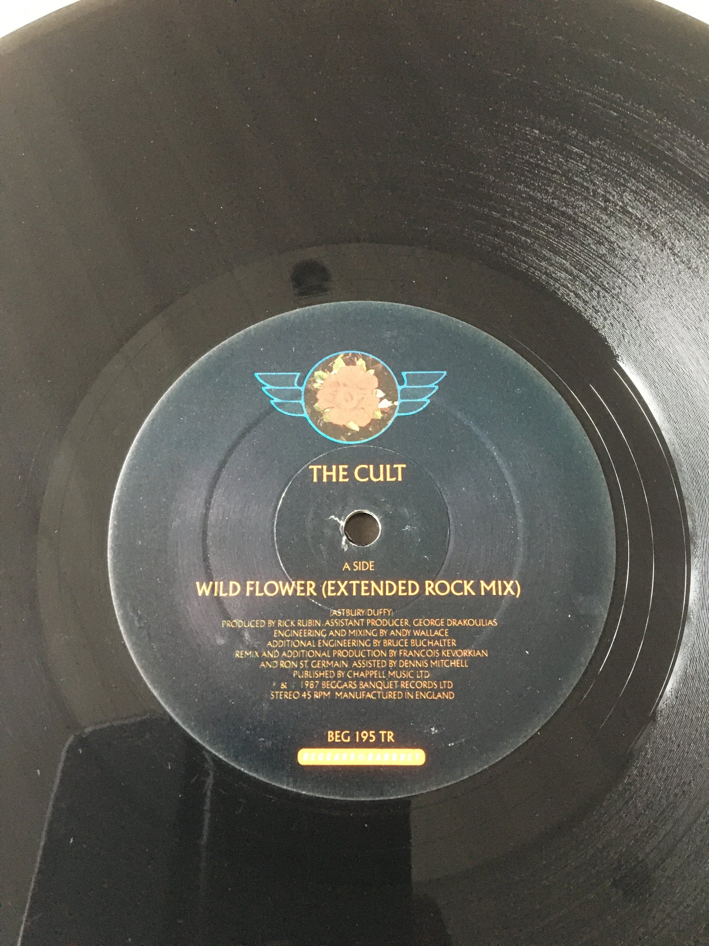 THE CULT 12” WILD FLOWER