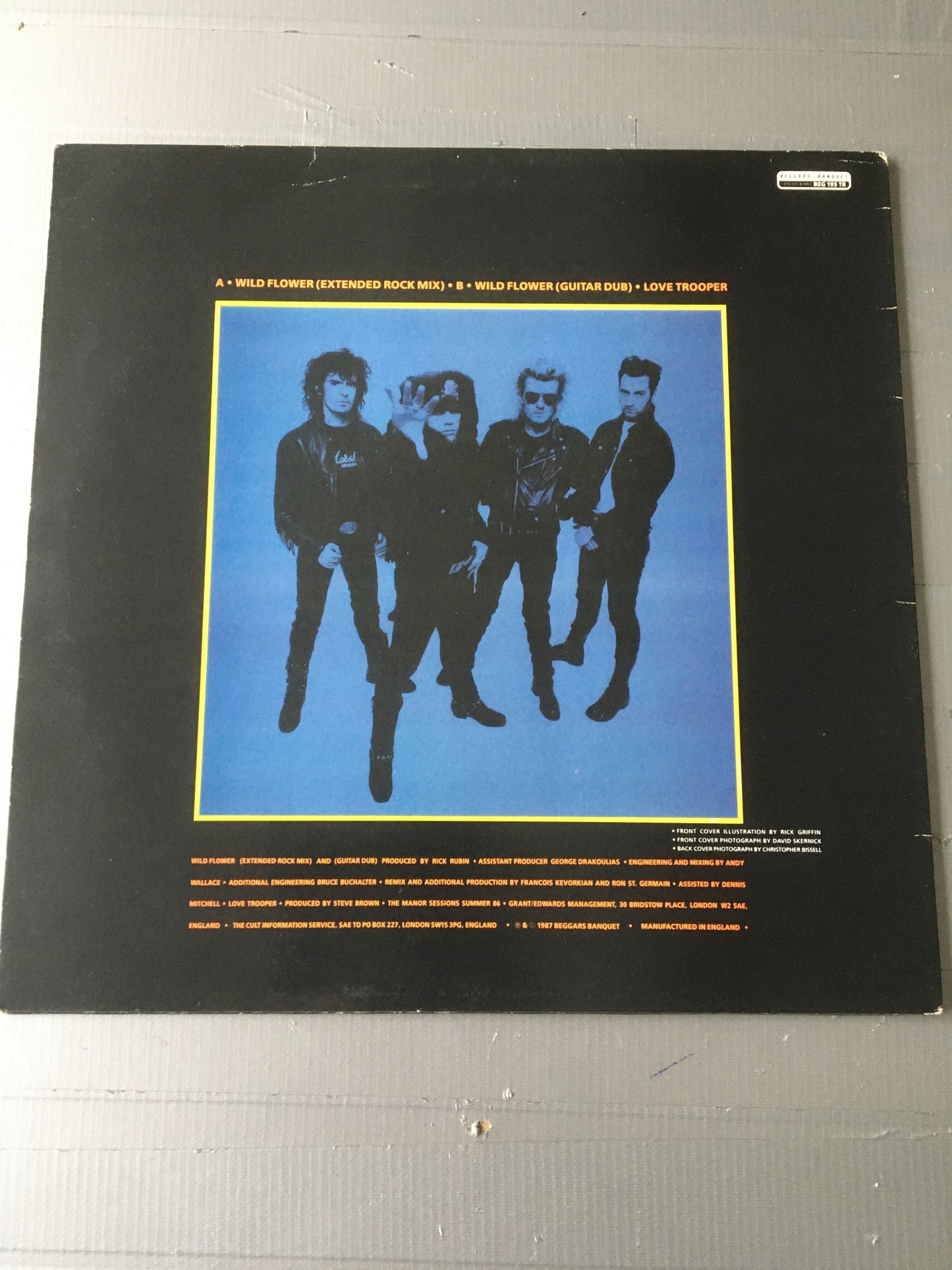 THE CULT 12” WILD FLOWER