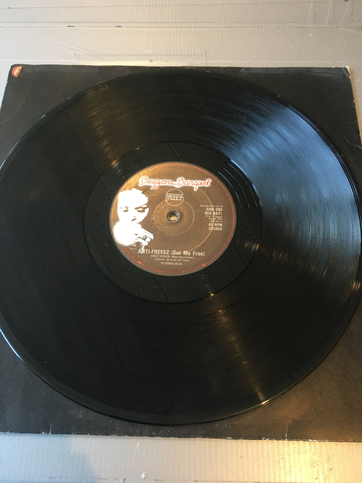 FREEEZ 12” ANTI-FREEEZ
