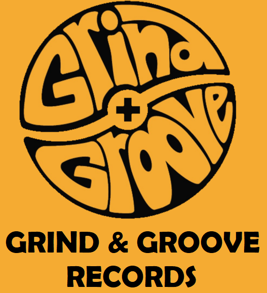 Custom made Groove Record Bag | Groove Audio