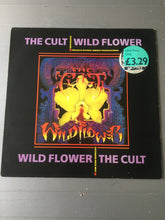 Load image into Gallery viewer, THE CULT 12” WILD FLOWER