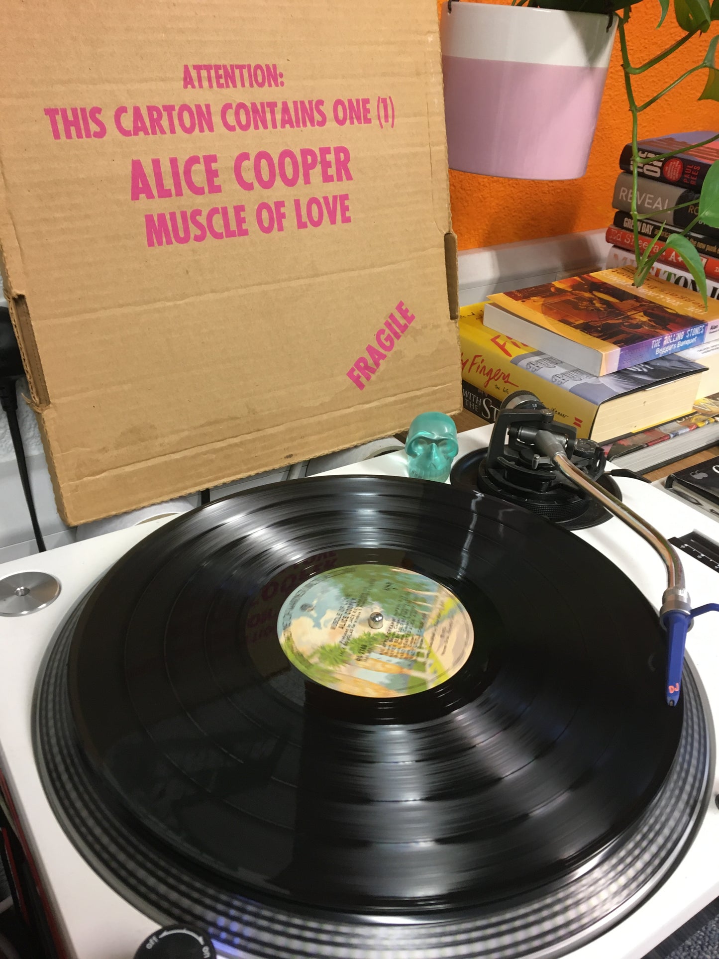 Alice Cooper LP Muscle Of Love
