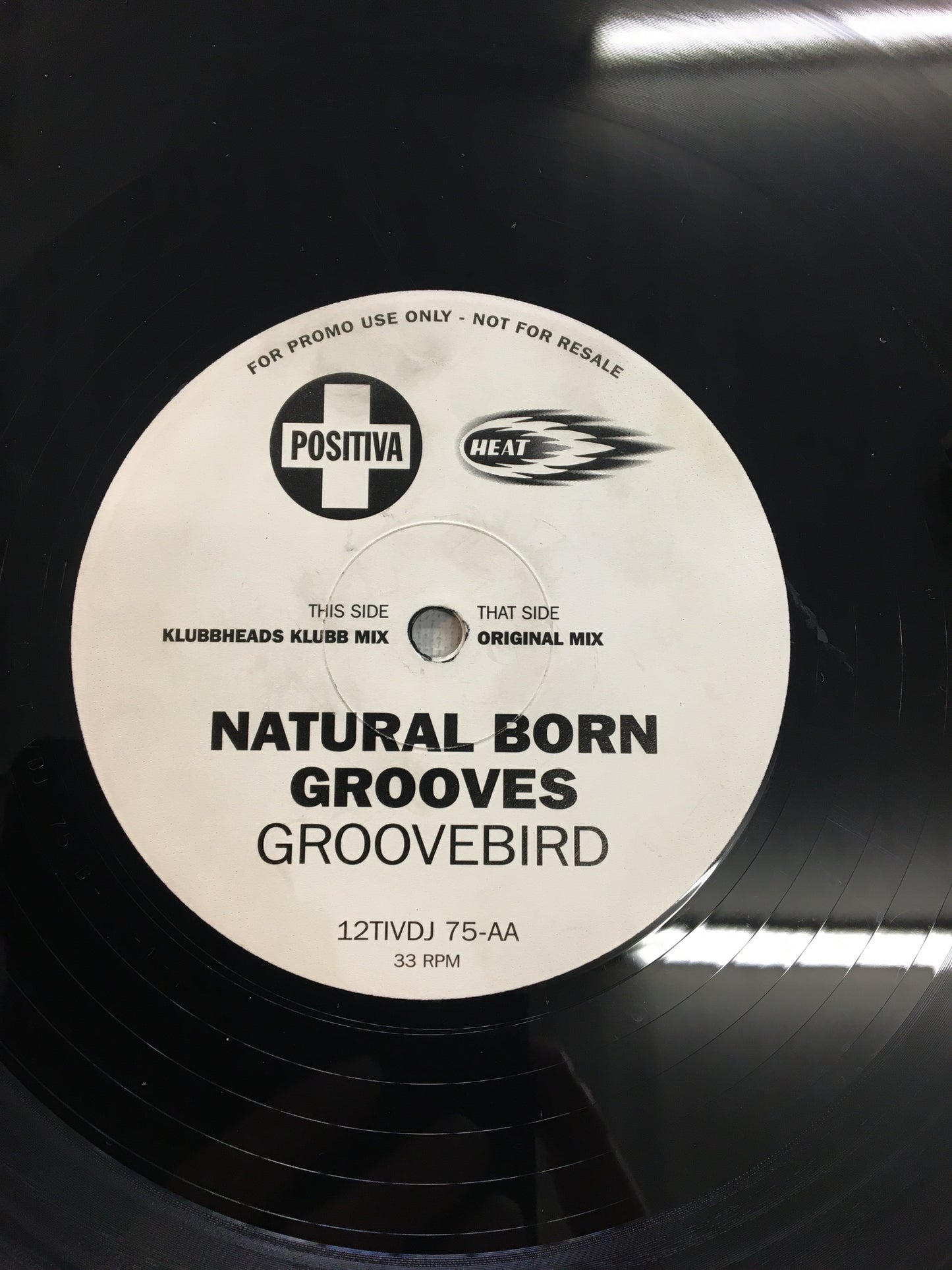 NATURAL BORN GROOVES 12” ; GROOVEBIRD