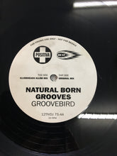 Load image into Gallery viewer, NATURAL BORN GROOVES 12” ; GROOVEBIRD